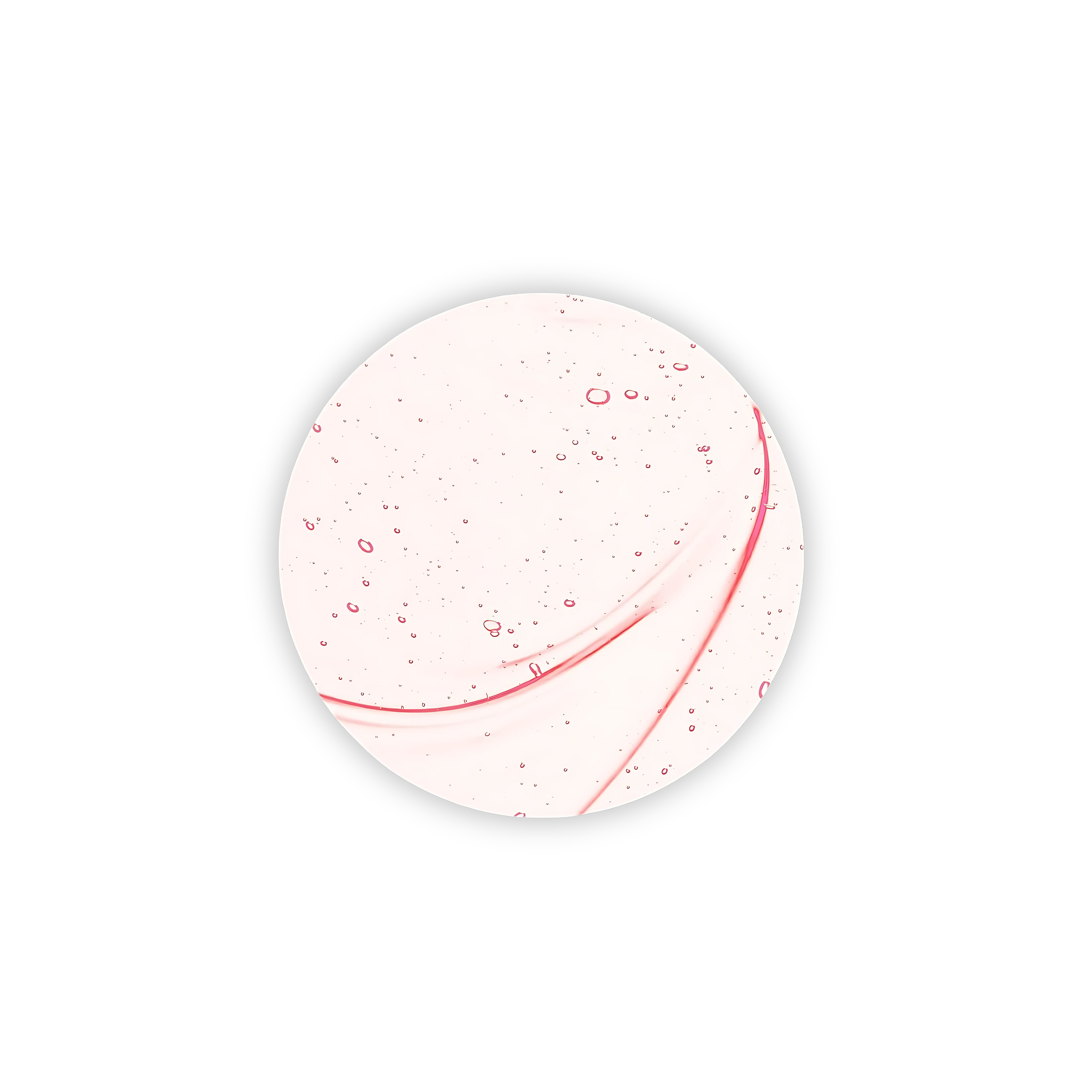 Collagene