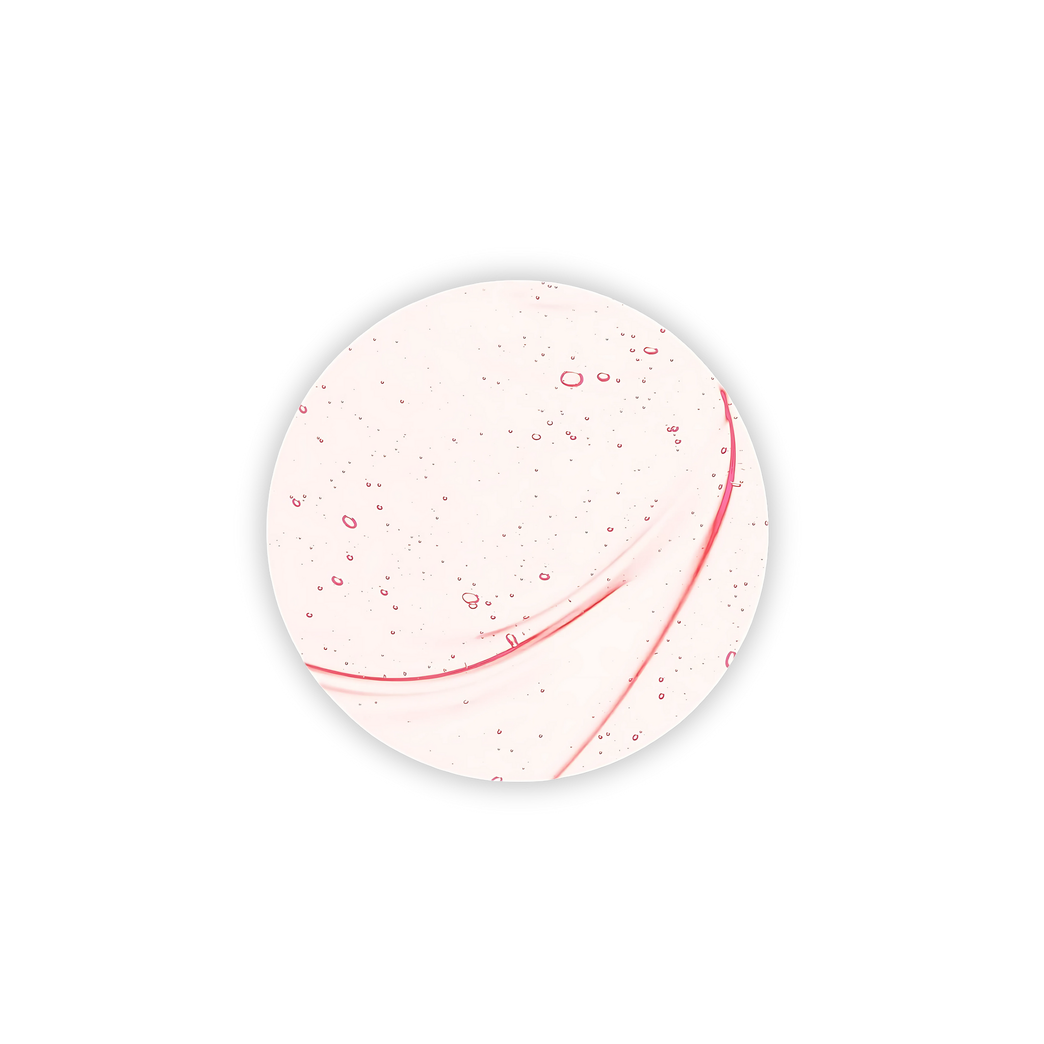 Collagene